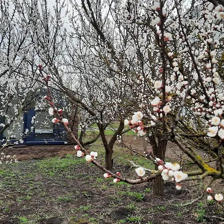 Glamping Pod Merunkami Prázdninový dům Bulhary